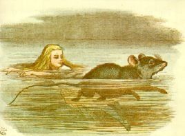Alice has ended up deep water!